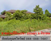 ขายที่ดิน ซ.วัชรพล